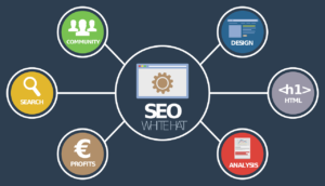 Digital Dhairya - Personal Branding Bundle?
